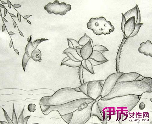 手绘山茶花图片铅笔画