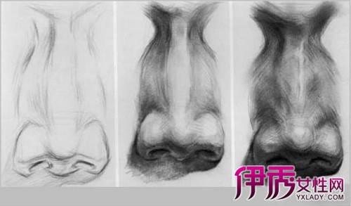【图】素描鼻子的画法 手把手教你学会如何画