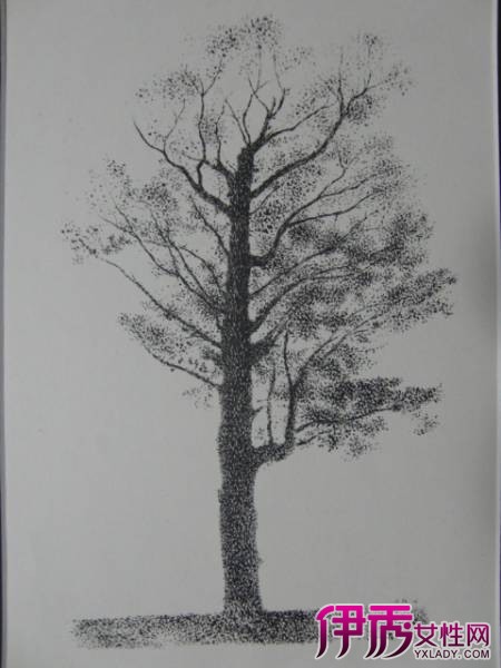 【图】树素描图片欣赏 素描教程之树干树叶的速写画法