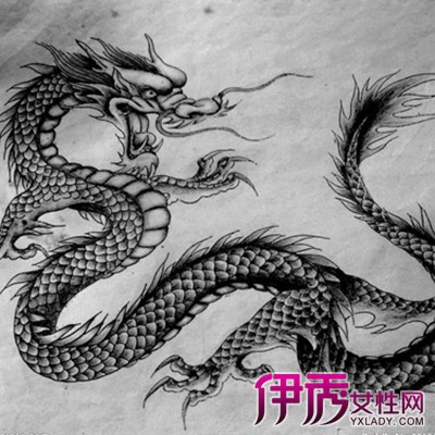 【图】中国龙素描图片欣赏 为你介绍2种类型的素描