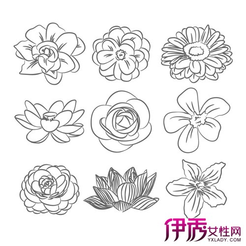 【花 素描】【图】花的素描怎么画 几点方法教你简单素描_伊秀艺术|yxlady.com