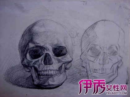 素描骷髅头画法_素描衬布画法_素描排线的画法-圈子花园图片