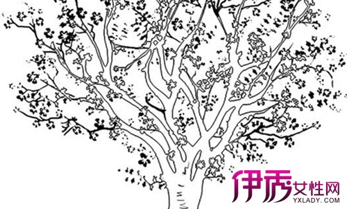 【樱花树简笔画】【图】樱花树简笔画欣赏