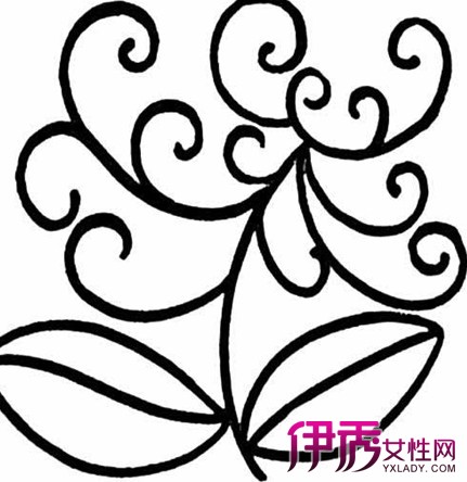 【菊花的简笔画】【图】菊花的简笔画 教你画简单的菊花(2)_伊秀艺术|yxlady.com