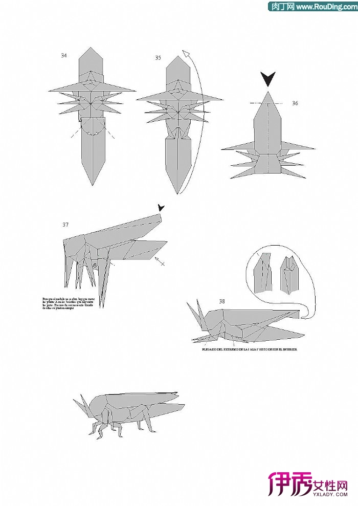 昆虫折纸—教你纸蝗虫的折纸方法图解