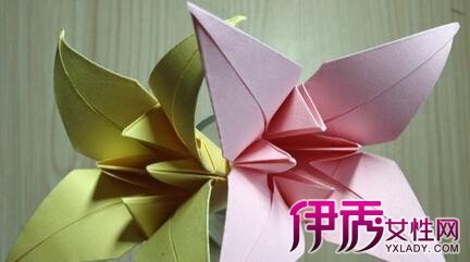 长方形折纸大全图解部分欣赏 三大技巧教你提高孩子动手能力