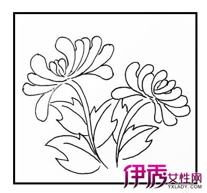 菊花图片简笔画手绘-兰花图片简笔画手绘-梅花图片简