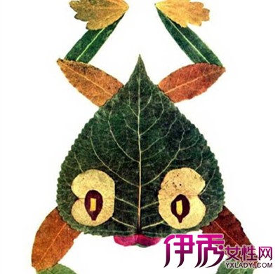 【图】秋天树叶贴画作品图片大全欣赏 需极具丰富想象力_易速网 【图】秋天树叶贴画作品图片大全欣赏 需极具丰富想象力