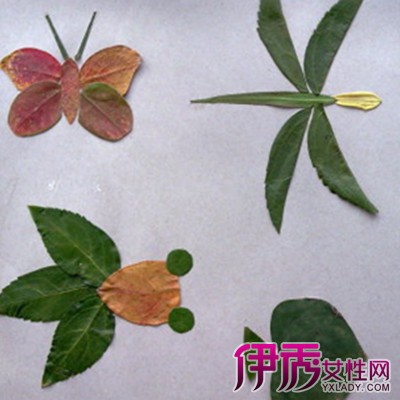 树叶拼图_树叶拼图画图片