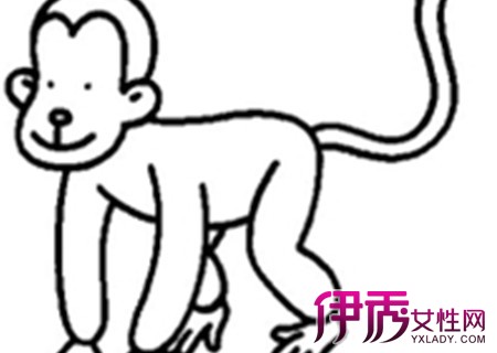 【小猴子简笔画】【图】怎么简单地画出小猴子? 小猴子简笔画揭秘_伊秀创意|yxlady.com