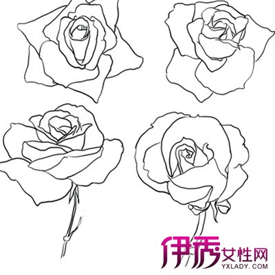 【手绘玫瑰花的画法】【图】手绘玫瑰花的画法
