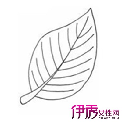 简笔画手抄报 漂亮