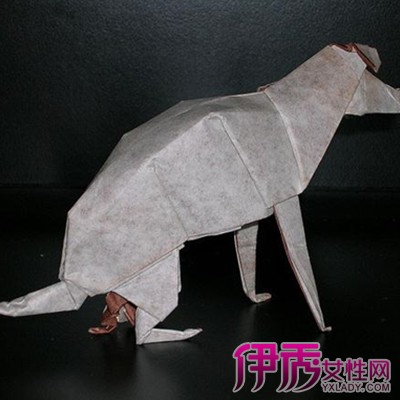 【图】小狗折纸效果图欣赏 折纸对人们有什么好处吗