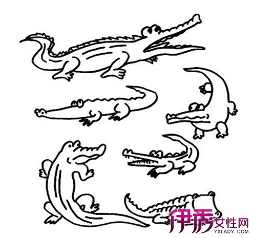 【图】大鳄鱼绘画 简单易画和可爱