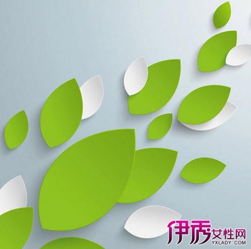 树叶剪纸图案大全曝光 三大步骤轻松教你做