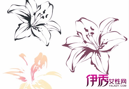【图】手绘百合图片欣赏 带你了解手绘的6大步骤