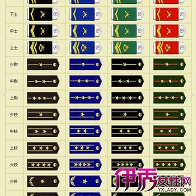 【图】现代中国军衔图片 了解中国现代军衔知识