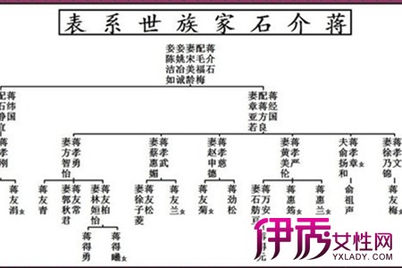 蒋介石 后代家谱