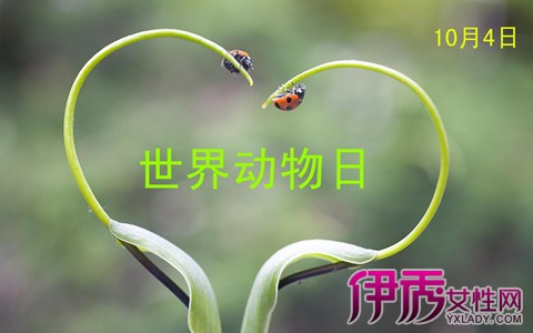 【世界动物日是哪一天】【图】揭晓世界动物日