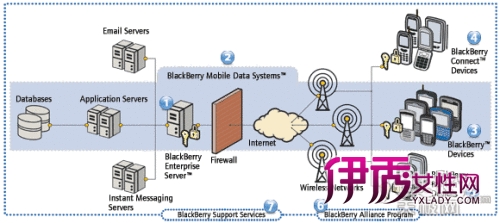 挺进中国 三大运营商黑莓服务资费详解_数码产