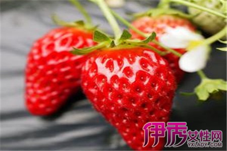 盆栽草莓的种植方法和技巧_花草种植_花草-伊