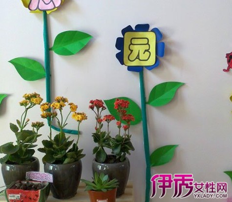 【图】幼儿云植物角布置图片欣赏 盘点多种合适孩子种植的植物