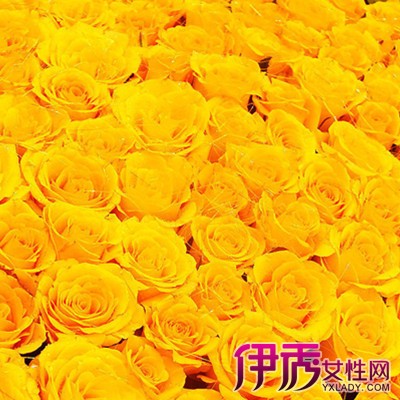 【绿玫瑰花图片】【图】好看的绿玫瑰花图片欣