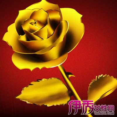 【金色玫瑰】【图】金色玫瑰图片大全 玫瑰形