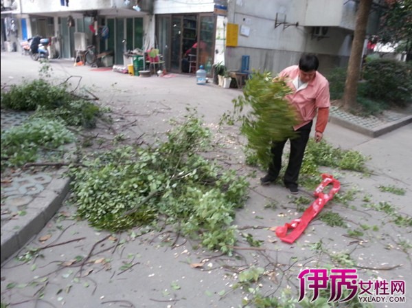 【如何给花草树木过冬】【图】教你如何给花草