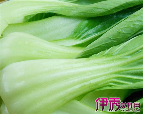 【什么是油菜】【图】什么是油菜? 了解其生长
