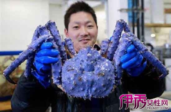 【组图】帝王蟹的做法大全 帝王蟹多少钱一斤