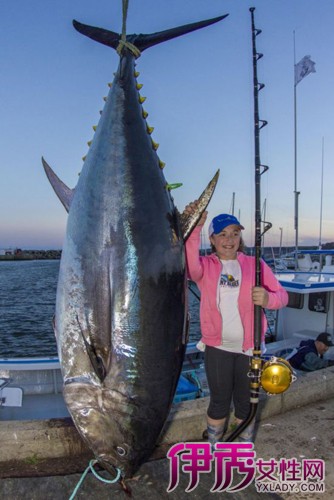 【组图】最大的蓝鳍金枪鱼价格多少钱一斤 蓝