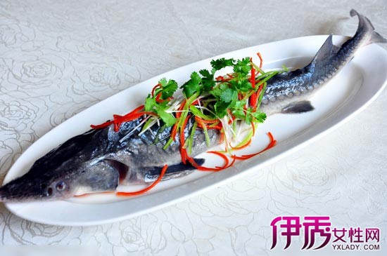 【图】清蒸中华鲟鱼的做法 中华鲟图片(2)_饮食