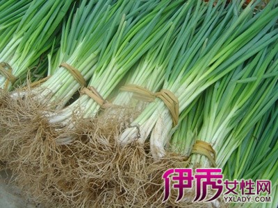 【葱须的功效与作用】【图】葱须的功效与作用介绍 全网最完整的葱须功能介绍(2)_伊秀美食|yxlady.com