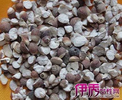 【芡实的烧鹅与功效及禁忌症】【图】作用的功岛美食攻略海鸥芡实图片