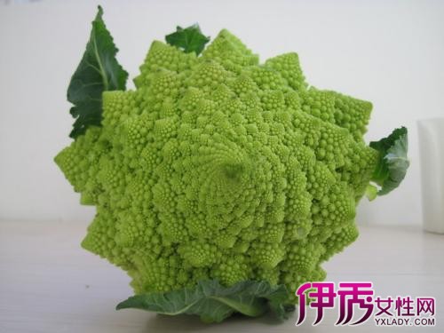 【菜花】【图】菜花的真面目是什么?揭秘菜花