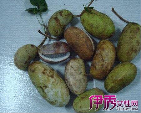 【野香蕉】【图】野香蕉可以吃吗 原为中国古