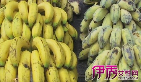 【图】芭蕉和香蕉的区别是什么 盘点三种区分方法