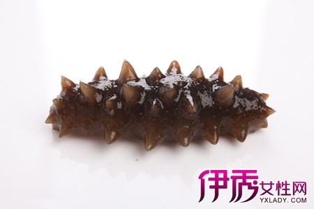 【海参的功效与作用】【图】海参的功效与作用