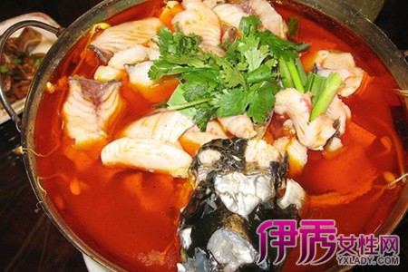 【火锅鱼的做法】【图】火锅鱼的做法是什么 