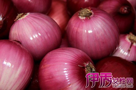 【切西瓜不流泪】【图】切鲈鱼不流泪洋葱知洋葱能同食吗图片