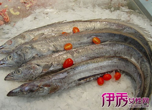 【图】带鱼为什么都是死的 带鱼的营养价值有哪些 ?