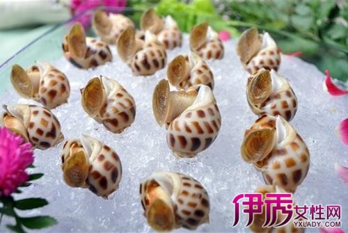 【冰镇花螺的做法大全】【图】冰镇花螺的做法