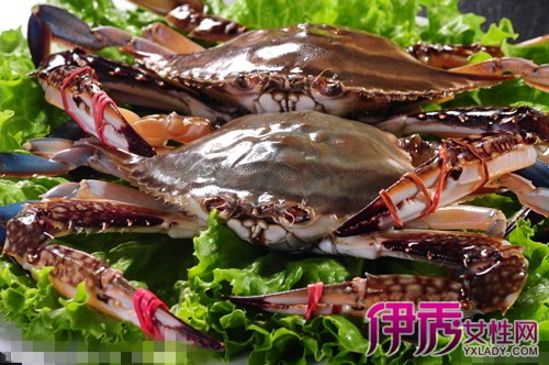 【死蟹能吃吗】【图】死蟹能吃吗 有关吃蟹的