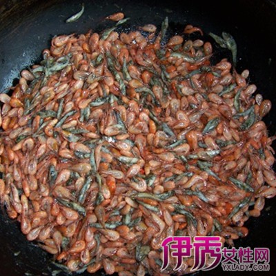 【小鱼吃虾米】【图】欣赏小鱼吃虾米图 了解