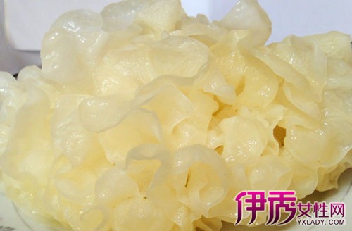 【新鲜银耳可以吃吗】【图】新鲜银耳可以吃吗