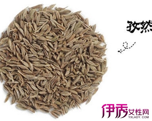 【孜然】【圖】孜然又名小茴香