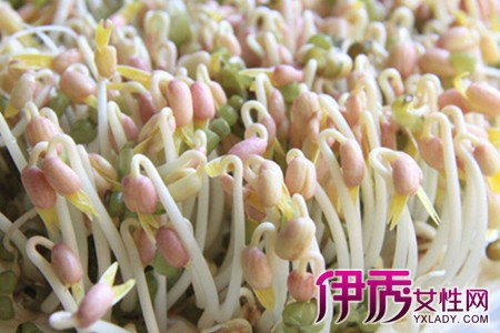 【自己发豆芽怎么做】【图】如果自己发豆芽怎