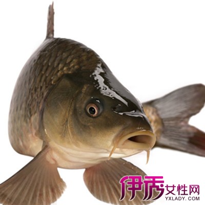 【草鱼不能和什么一起吃】【图】草鱼不能和什