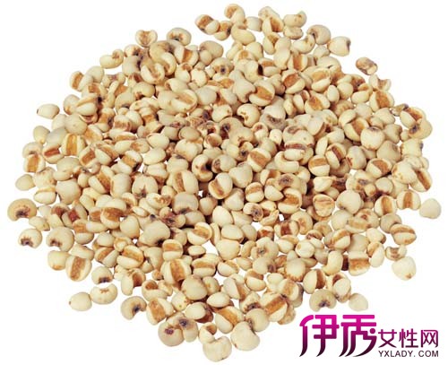 【炒薏米泡水喝的功效】【图】炒薏米泡水喝的